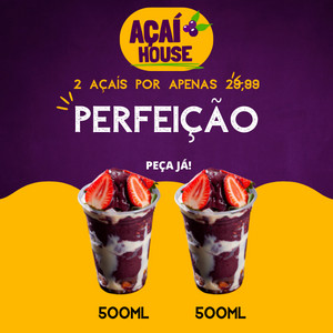 Combo Açaí de 500ml + Açaí de 500ml