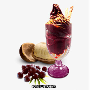 Milk Shake de Açaí 500ml