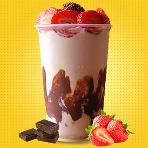 CREME/SORVETE COOKIES CREAM 300ML