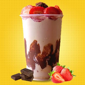 CREME/SORVETE TORTA DE LIMÃO 300ML