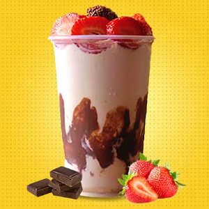 CREME/SORVETE TAPIOCA COM COCO 400ML