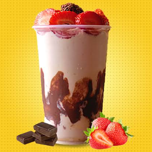 CREME/SORVETE TAPIOCA COM COCO 300ML