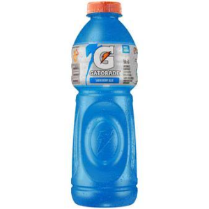 GATORADE ISOTÔNICO SABOR BLUE BERY PET 500ML