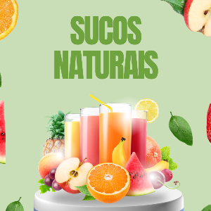 Suco natural básico 500ml