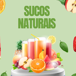 Suco natural Especiais 500ml