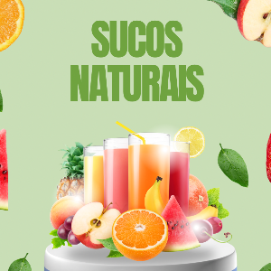 Suco natural Tradicional 500ml